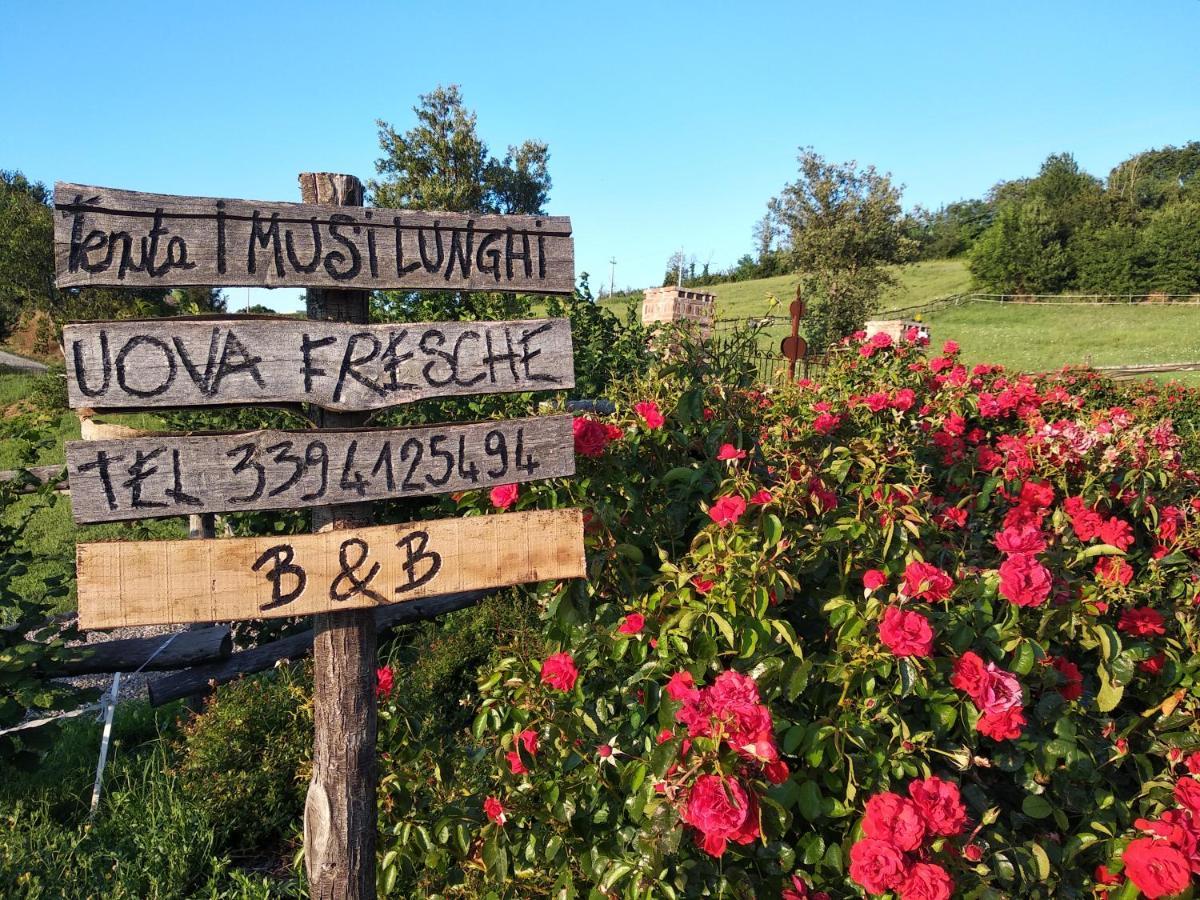 Bed and Breakfast Tenuta I Musi Lunghi Lesignano de' Bagni Exterior foto